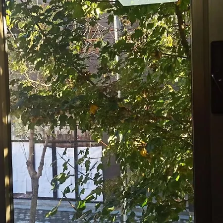 Hostel Royal 2 Opposite Nalu Bar